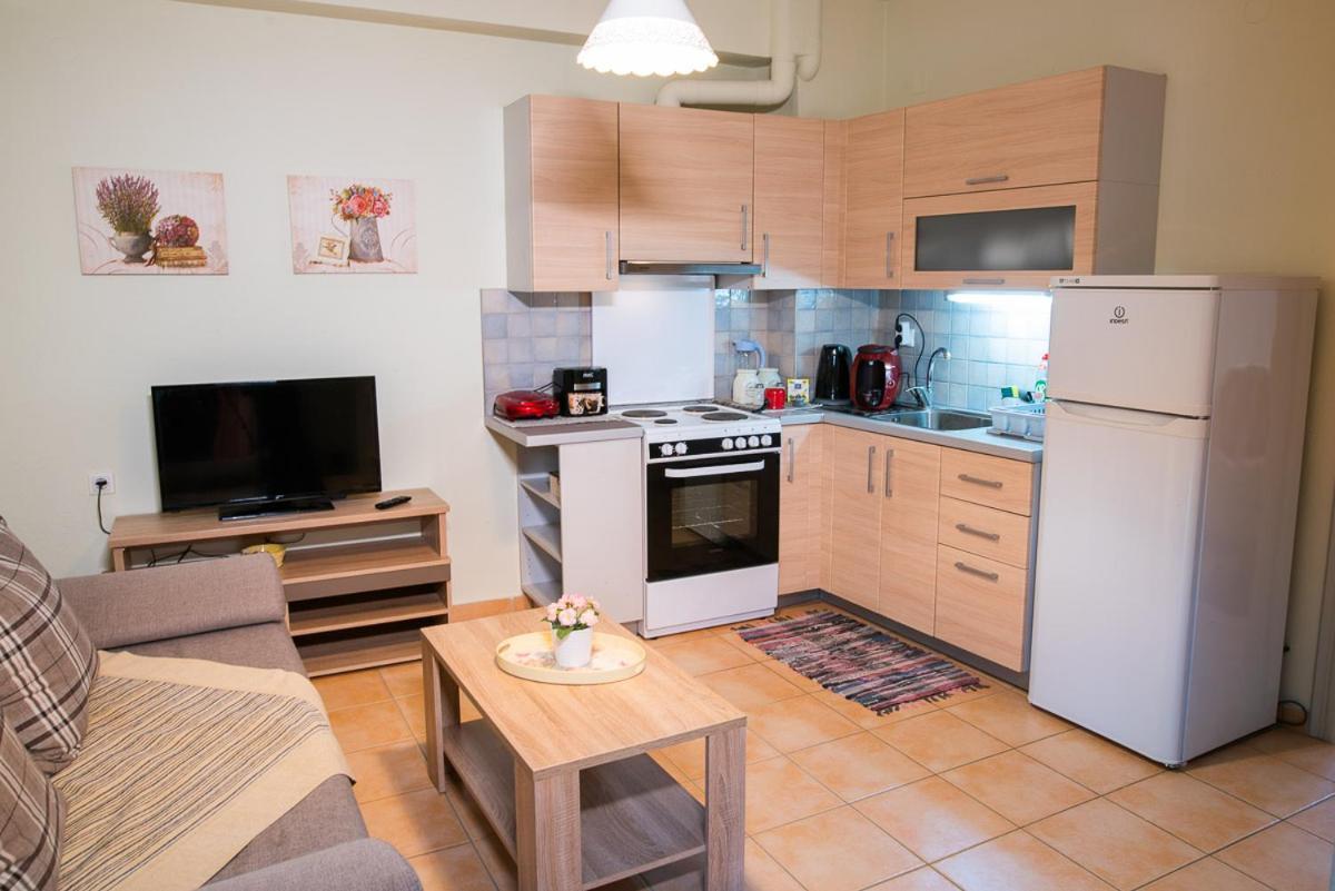 Muses Old Town Ioannina Apartment Bagian luar foto